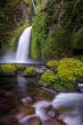 Wahclella Falls along Tanner Creek-Columbia River Gorge-Oregon Art Print